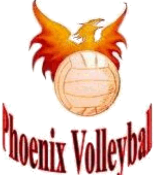 Volleyball Clinics at Phoenix Volleyball School