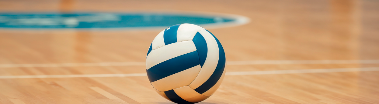 Read more about the article Bay Area Volleyball Open Gym