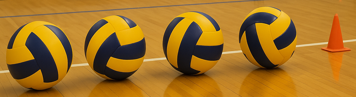 Read more about the article Elevate Your Game: Top Volleyball Training Equipment